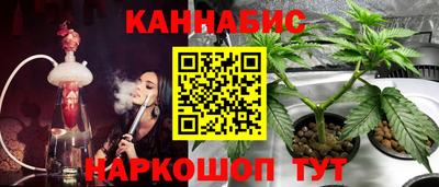 мдма Новодвинск