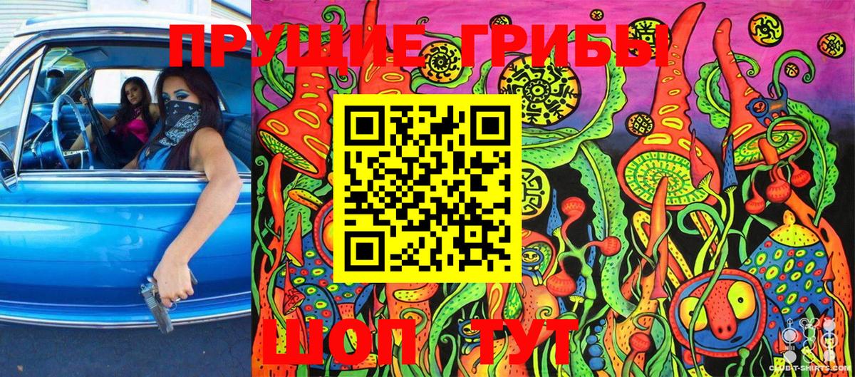 Чернушка  Галлюциногенные грибы MAGIC MUSHROOMS  Вход с VPN 